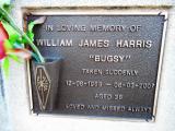 image of grave number 618004